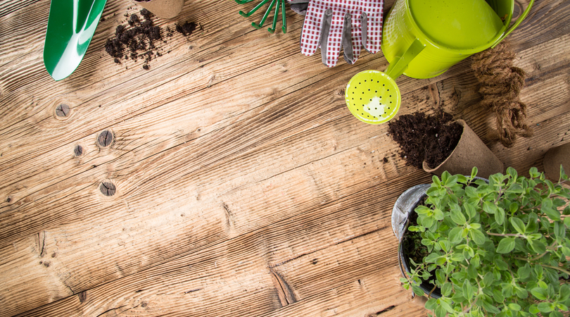 4 dicas para planejar seu jardim